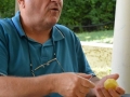 40114780_1897885270277424_7679088795794276352_n